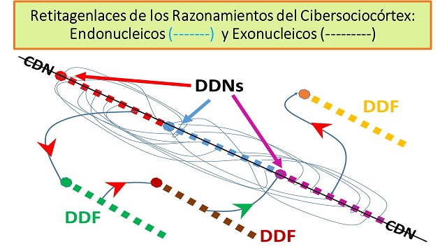 Cromatidación (17).jpg